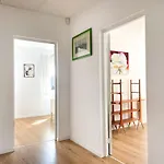 Duzy Z Ogrodkiem I Parkingiem By Renters